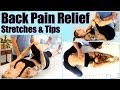 Back Pain Stretches & Exercises - At Home Pain ...