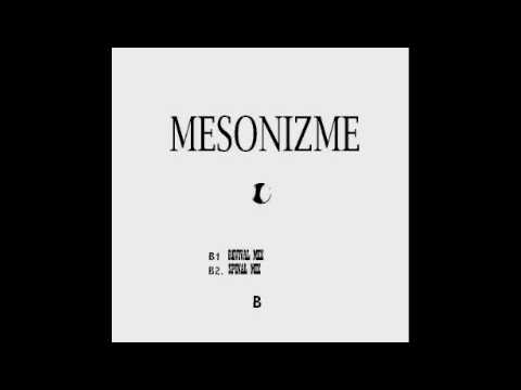 RE-FLASH (Mesonizme mix)