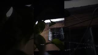 Download lagu kase na bole koye🥀 WhatsApp status❤️ #unfrezzmyaccount #whatsappstatus #banglasong mp3