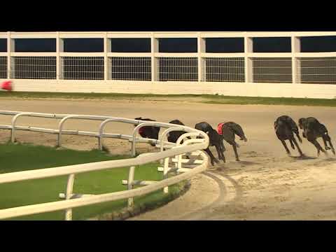 2018 STAR SPORTS DERBY - 2ND SEMI - T5 - WHOOPS JACK