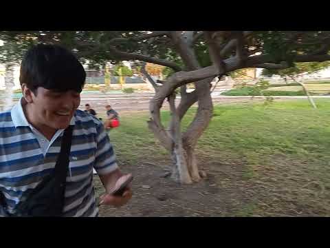 SKRATCH VS ZOTT - OCTAVOS  - FECHA 2 - LETRAL MORTIS TRAP BATTLES