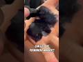 Permanent Marker Not So Permanent Check This Out ‍ ️