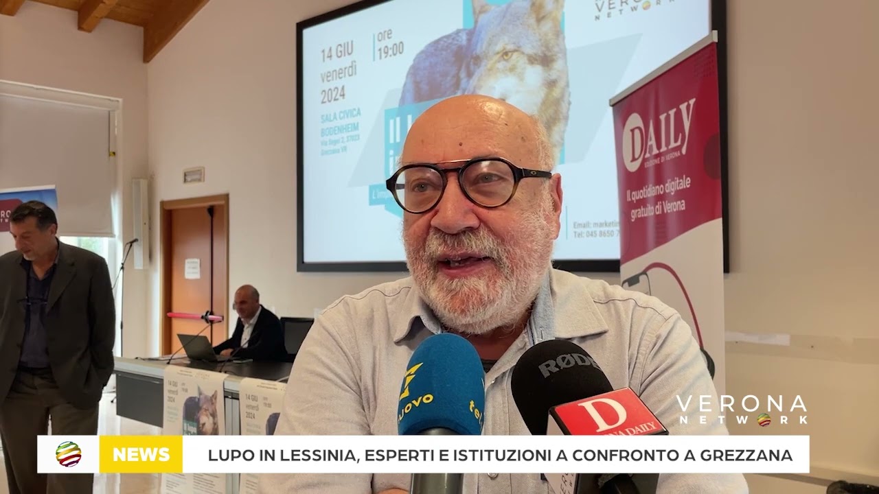 Descrizione dell'immagine