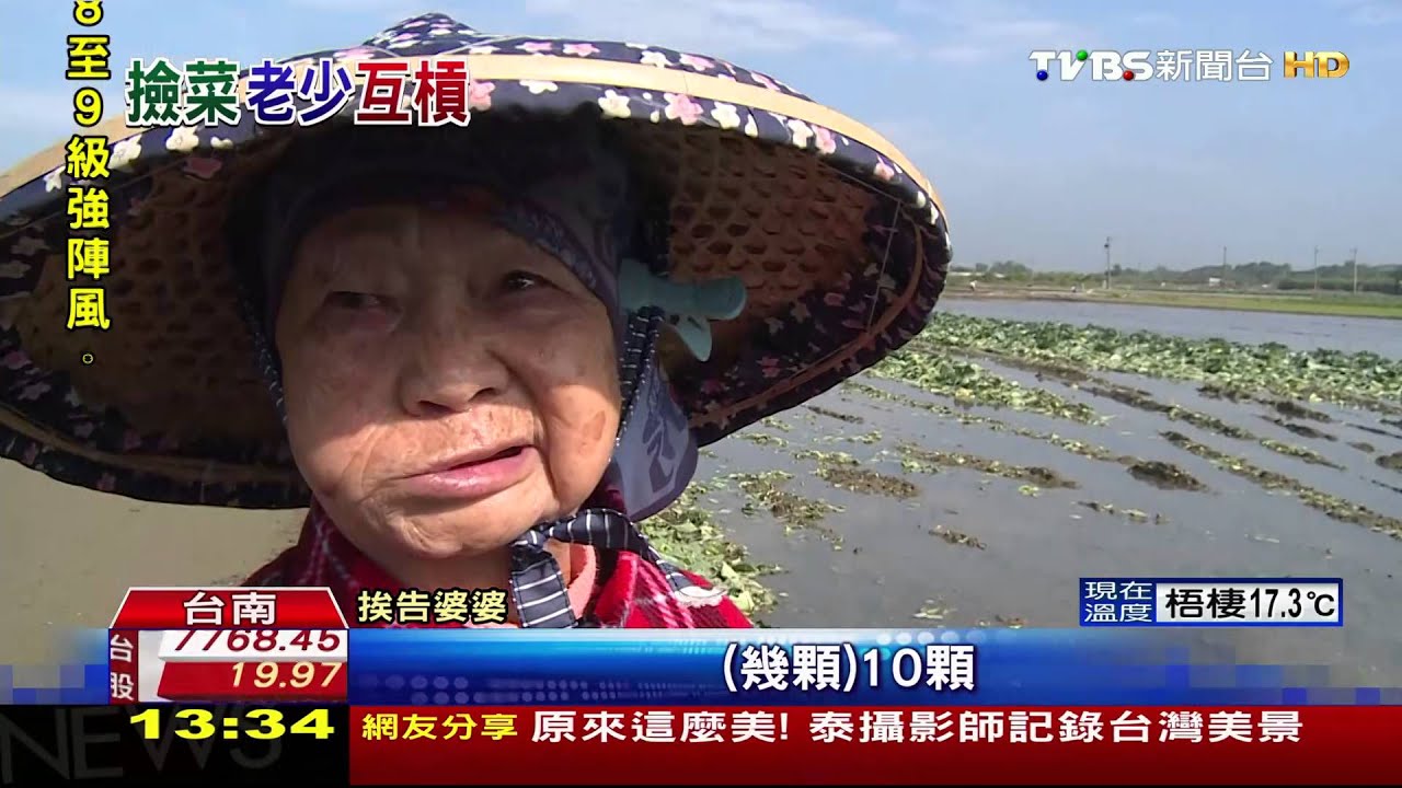 拾15顆高麗菜!3阿嬤挨告竊盜 求償30萬元