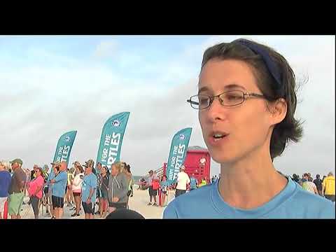 Video: ABC 7 News at 11pm - Saturday April 7, 2018