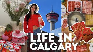 life in calgary🧧: realistic days in my hometown, chinese new year vlog, galentines | letitia's 2026