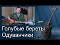 Песни под гитару. Голубые береты - Одуванчики (cover) 