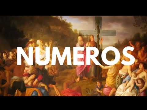 Numeros 16 La Rebelion de Core