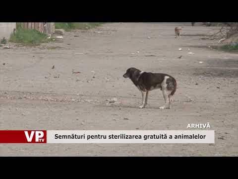 Semnături pentru sterilizarea gratuită a animalelor