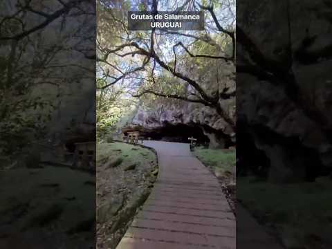 Explorando a Maior Gruta do Uruguai - Parque Grutas de Salamanca | Aiguá - Maldonado - Uruguai
