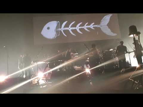 Snarky Puppy "Shofukan" Live