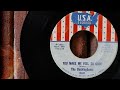 The Buckinghams - You Make Me Feel So Good  ...1966