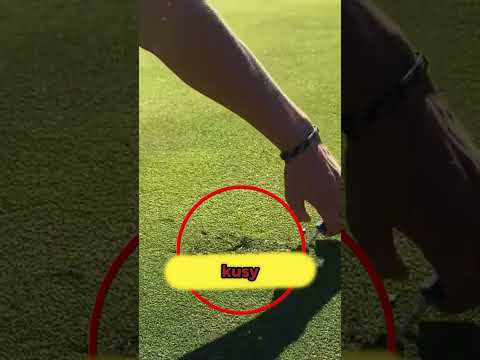 Jak probíhá údržba a čištění golfového hřiště ⛳