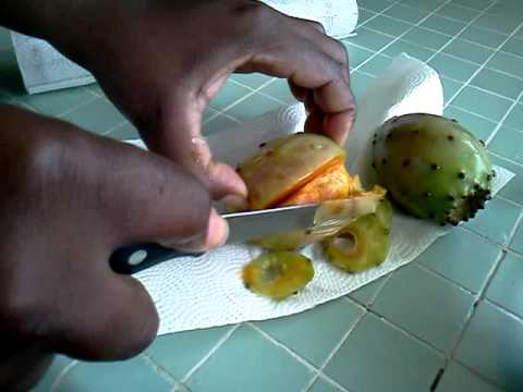 HOW TO EAT AND PEEL A PRICKLY PEAR!!