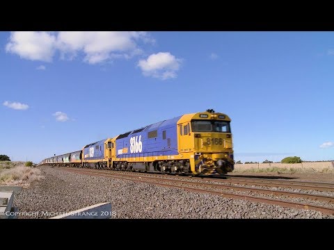Pacific National 7939V Grain Train With 81 Class Locomotives - PoathTV