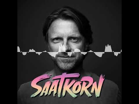 #37 mit Prof. Dr. NICO ROSE, Experte für Positive Psychologie - SAATKORN