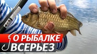 Рыбалка на поплавок о рыбалке всерьез