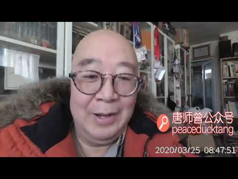 20200325唐师曾：《海子之死》