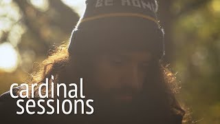 Anthony D'Amato - Honey That's Not All - CARDINAL SESSIONS