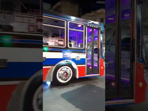 Linea 110 interno 50! (Favorito GR II, Mercedes Benz OH 1621lsb) Noviembre 2025