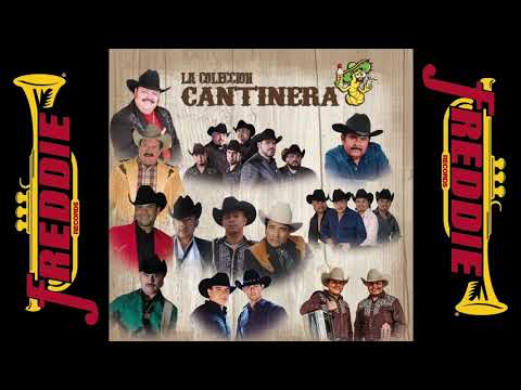 Musica Chingona Para Pistear y Chillar - Ramon Ayala, Eliseo Robles y muchos mas