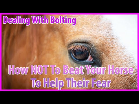 How To Deal With A Horse Bolting While Riding