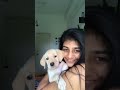 Bigg Boss Gabriella Dog Performance Shorts Reels Shortvideo Biggboss Vijay Eramanarojave