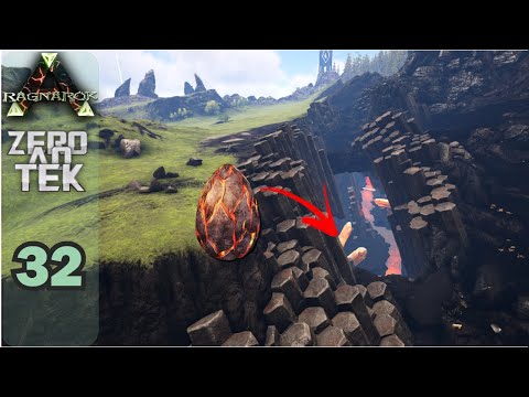 PEGANDO OVOS DE WYVERN! - ZERO AO TEK - RAGNAROK - EP 32