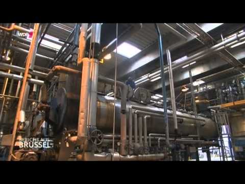 Giftiger Lachs   (Bericht aus Brüssel 24.01.2014)