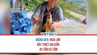 MANG DEN: HEAVY RAIN CAUSED DAMAGE TO NEARLY 45 TONS OF STURGER#vietbao #vietbaovn #tintuc #lmang...