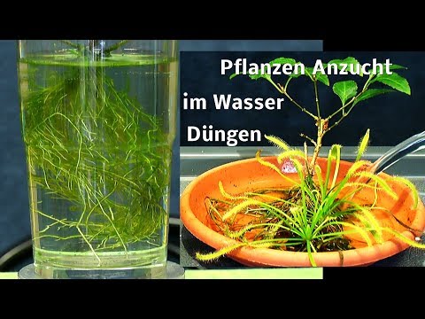 Die Sanatorien für die Behandlung der Schuppenflechte die Rezensionen Über atopitscheski die Hautentzündung