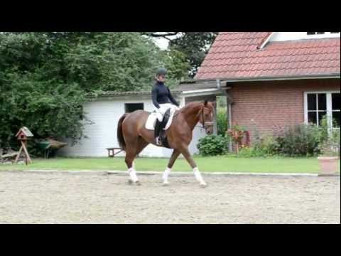 Fidertanz-Alabaster.mp4