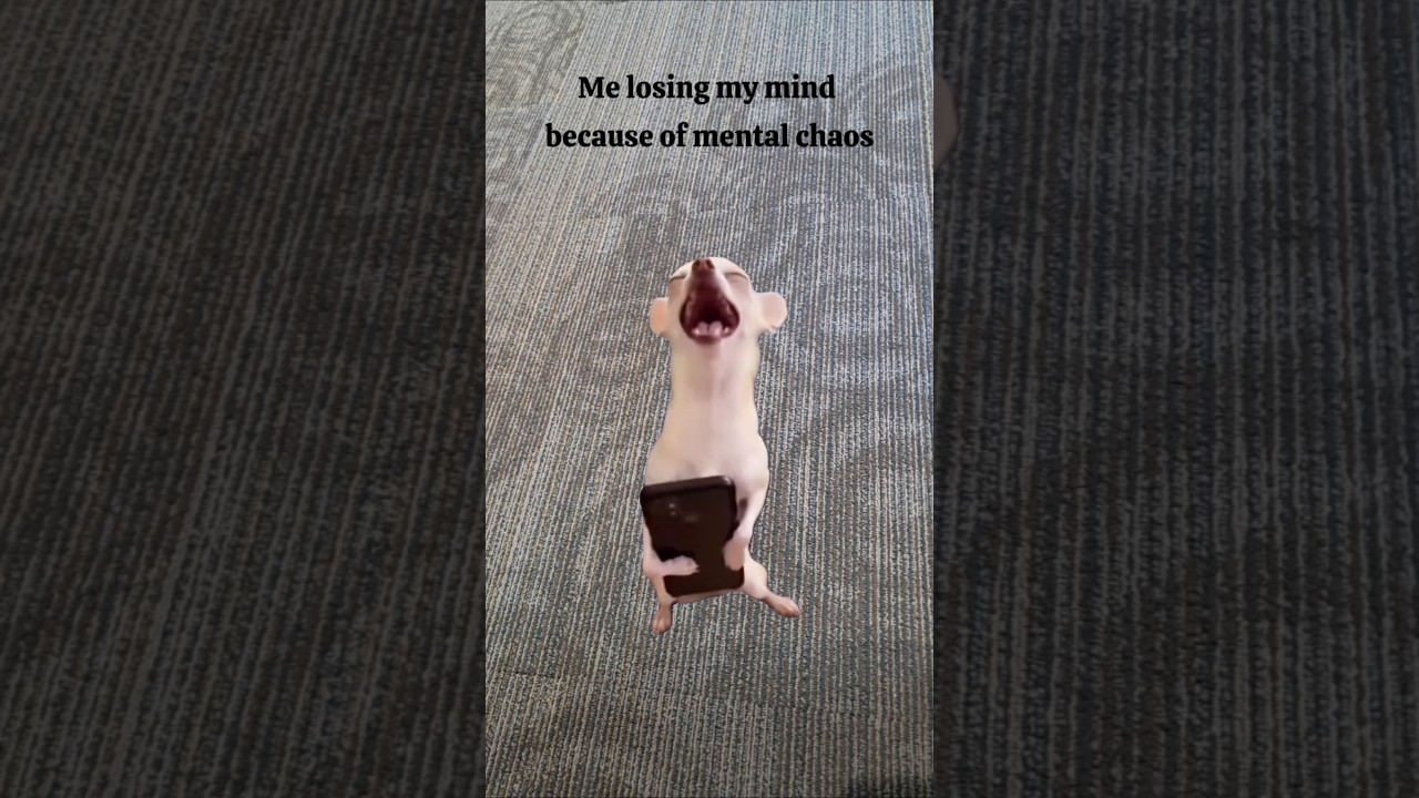 🤪 #tiktok #mindset #crazy #love #memes #youtube #automobile #instagram #instagood #facebook #viral