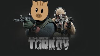 【タルコフ】ハードコアワイプコソコソ生き残る【Escape From Tarkov】