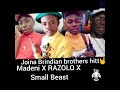 Joina The Brindian Brothers Hitt 2021 Madeni X Razolo X Small Beast