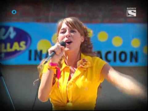 Flores amarillas (Floricienta-2)