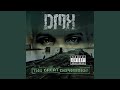 Number 11 - DMX - Topic Number 11