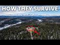 How This Family Survived 42 Years Hidden In A Siberian Forest