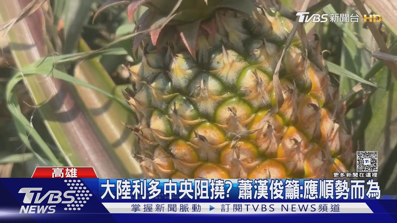 影音/衝擊年底選情?大陸惠台利多政府觀望 蕭漢俊籲:順勢而為