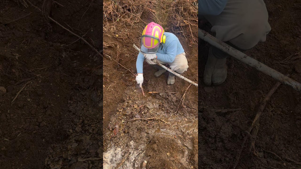 水源を掘り当てました😂#shorts #山師