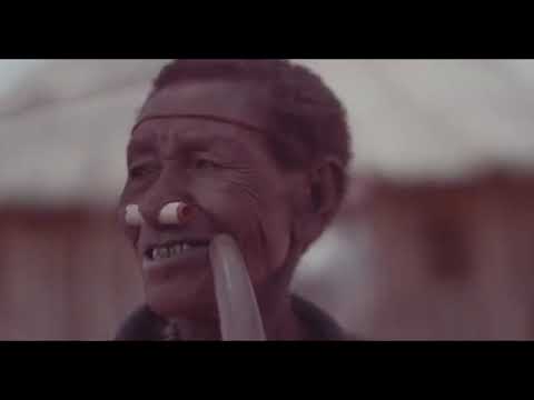 Jah Prayzah   Dzamutsana