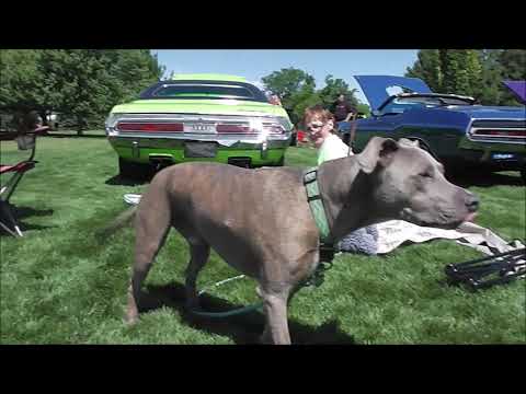 YouTube video