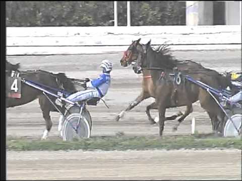 Trotto 19/03/2015 - 2° corsa