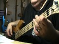 Nightwish Last Of The Wild Bass Cover 