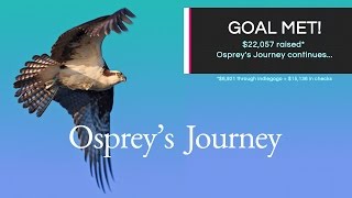 preview picture of video 'Osprey's Journey'