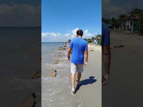 Leonardo Padura: “En Cuba no nos queda más remedio que incorporar la miseria a la vida y callar”