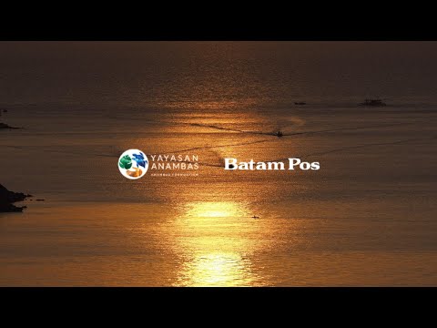 Video 1