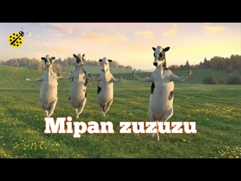Mipan Zuzu - mipan zuzuzu Original Video
