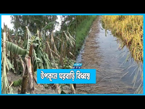 ঘূর্ণিঝড় সিত্রাংয়ের আঘাতে দৃশ্যমান হচ্ছে ক্ষয়ক্ষতির চিত্র