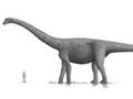 How Big Can A Person Get